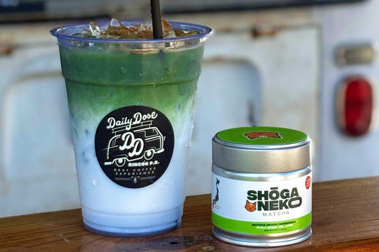 Daily Dose - Rincón, Puerto Rico