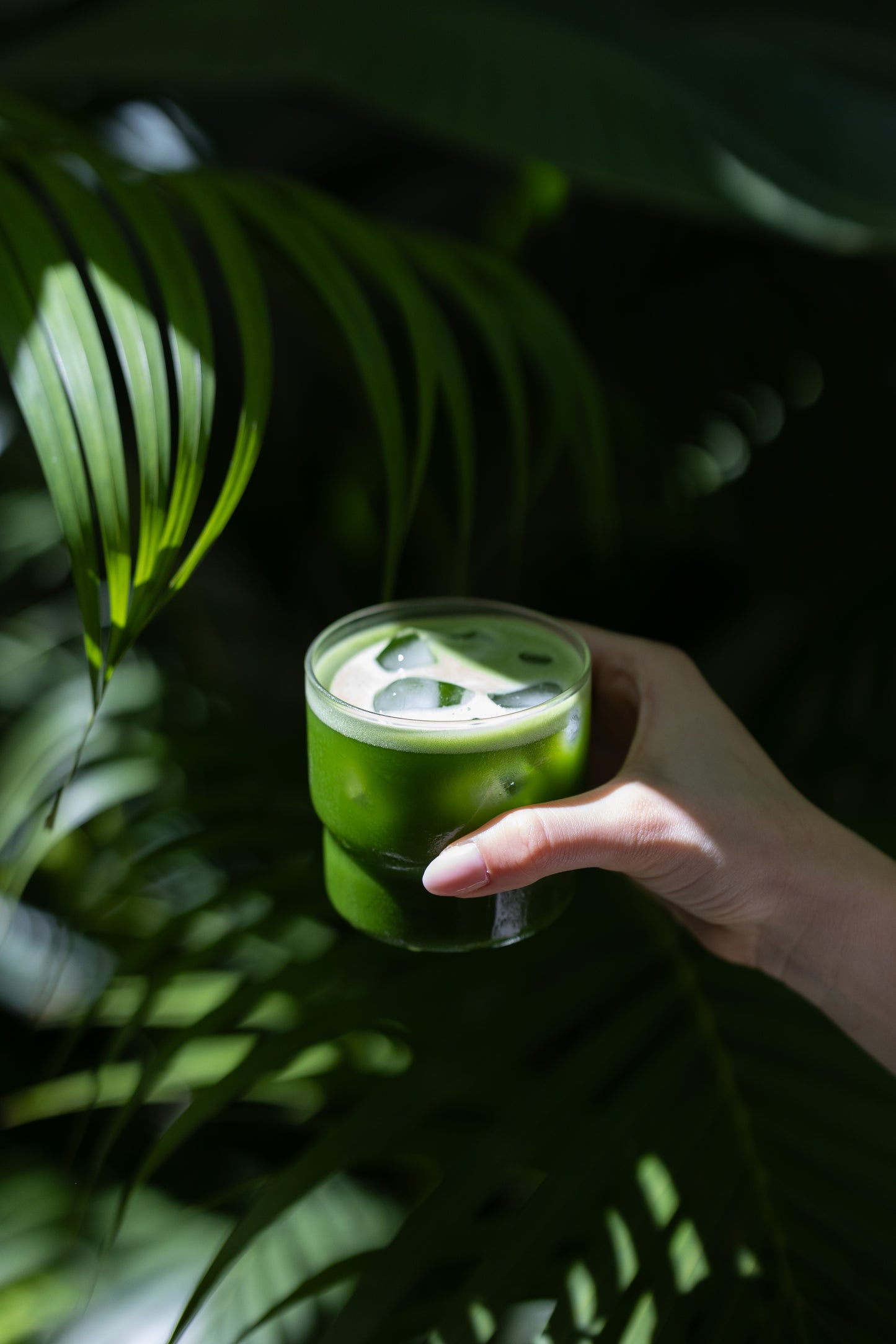 Shōga Neko Matcha (Bolsa 60G)